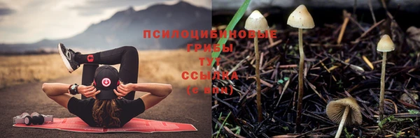 наркотики Аркадак