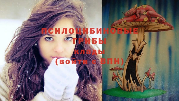 метамфетамин Армянск