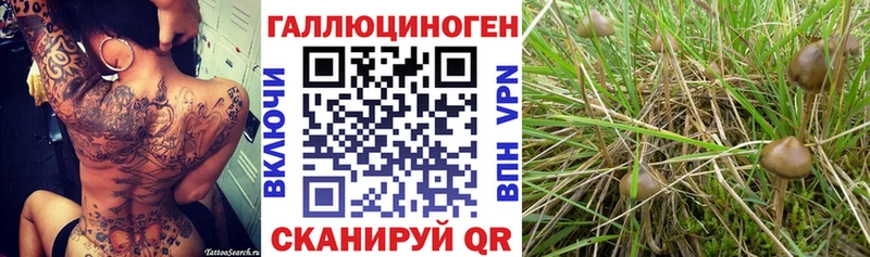 shop как зайти  продажа наркотиков  Поронайск  Галлюциногенные грибы мухоморы 